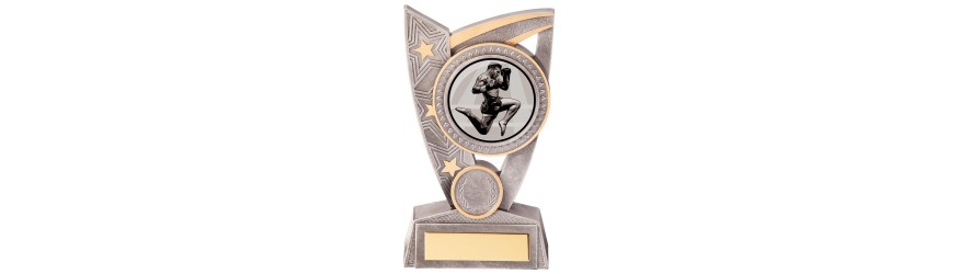 TRIUMPH MARTIAL ARTS TROPHY - 2 SIZES - 12.5CM - 15CM